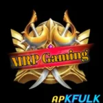 MRP Gaming Injector