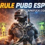 Rule PUBG ESP