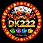DK222 Game